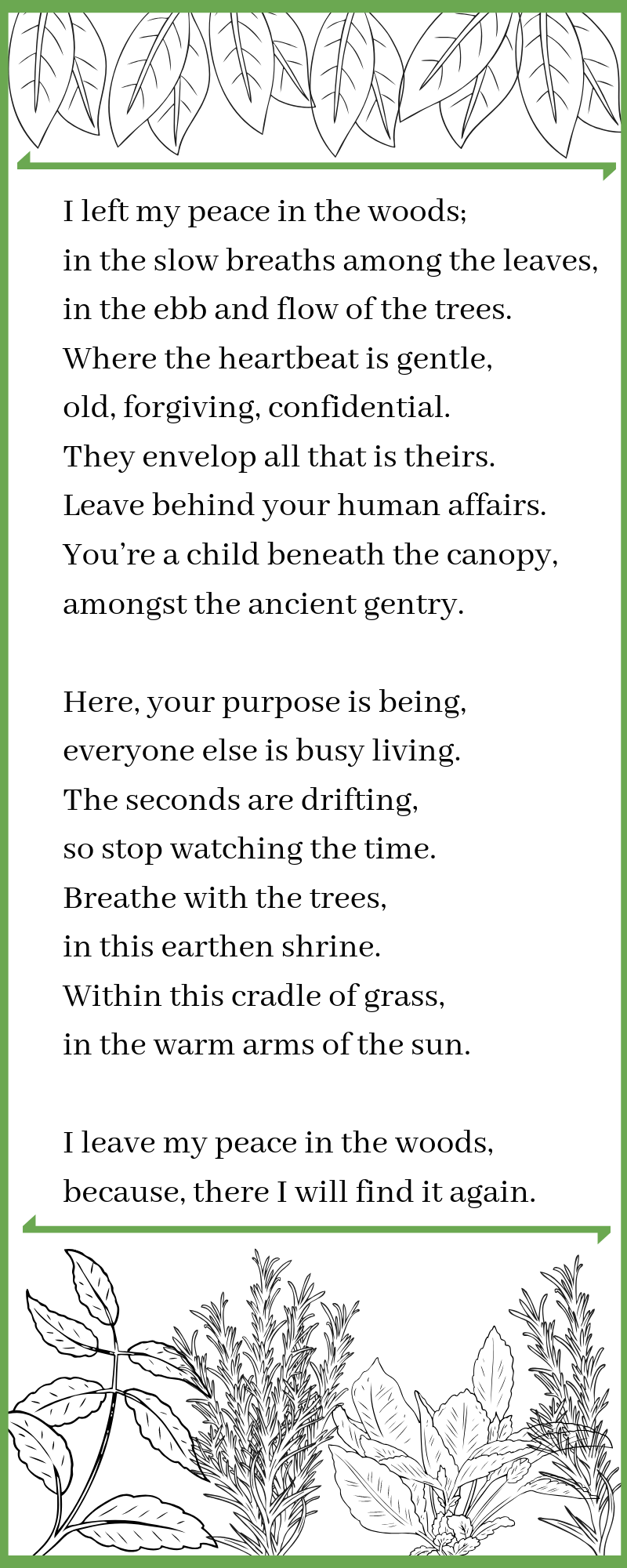 I left my peace in the woods; in the slow breaths among the leaves, in the ebb and flow of the trees. Where the heartbeat is gentle, old, forgiving, confidential. They envelop all that is theirs. Leave behind y (1)