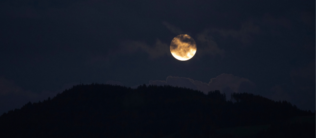 WIP excerpt- part&nbsp;4