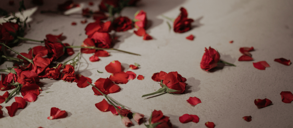 30 One bed trope&nbsp;recs