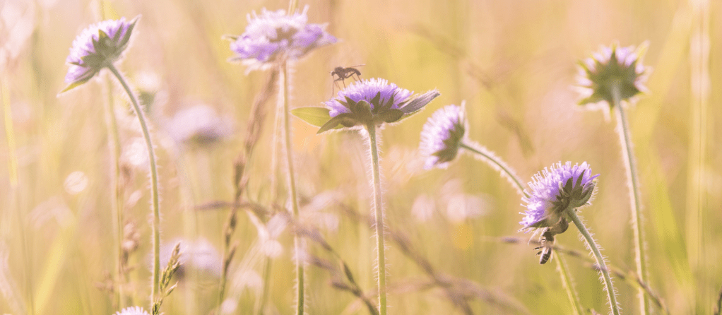 Romanticising every day&nbsp;life