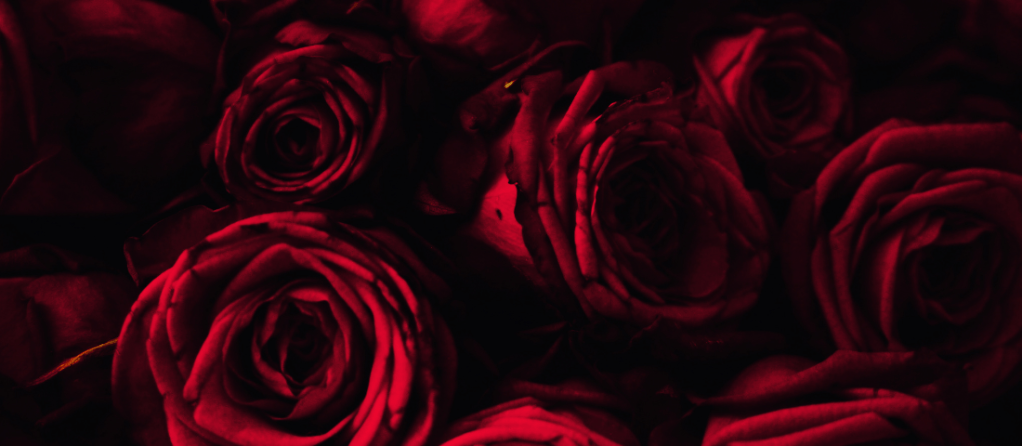 30 *spicy* book&nbsp;recs