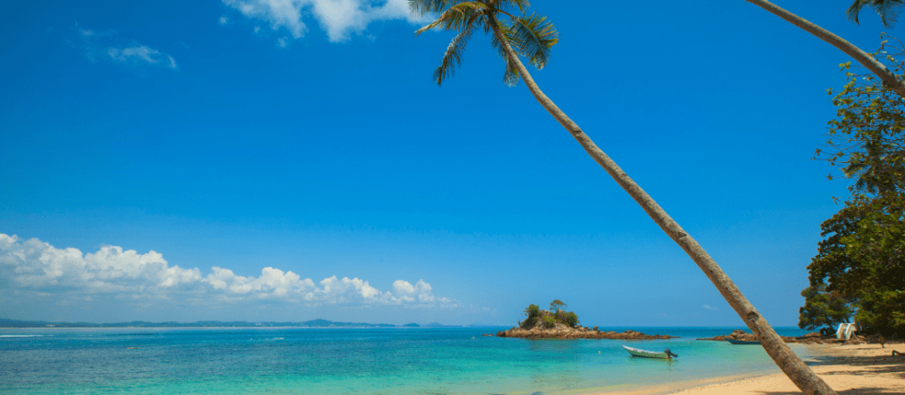 10 books with summery&nbsp;vibes