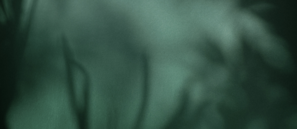 The downfall of the night princess – The Prompt&nbsp;Project