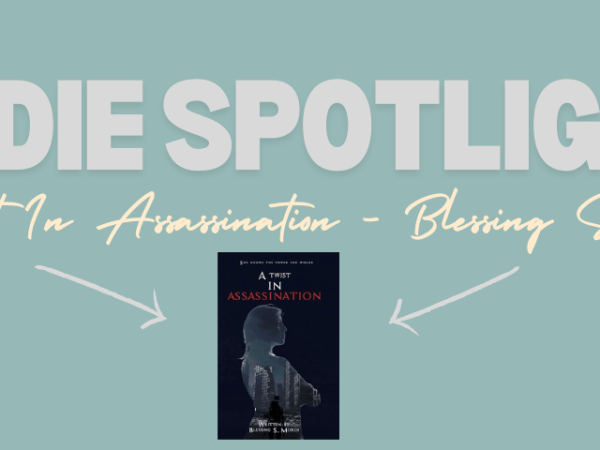 A Twist In Assassination – Blessing S.&nbsp;Mordi
